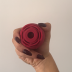 The Lovers Set: Rose + Plug